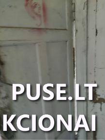 Butas Patalpos/Butai Šilelio g. 5, 57224 Kėdainiai, Kėdainių miesto sen., Kėdainių r. sav. 4