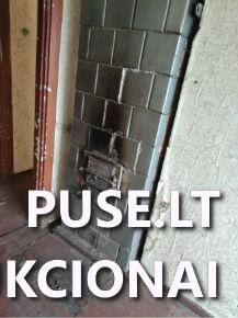 Butas Nr.2 Patalpos/Butai Ilgoji g. 64, 58194 Paliepiai, Josvainių sen., Kėdainių r. sav. 9