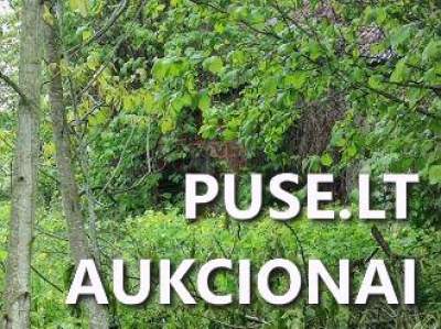 Ūkinis pastatas Kėdainių r. Kur nors kalnaberžės kaime 91 kv.m pradinė kaina 410 EUR