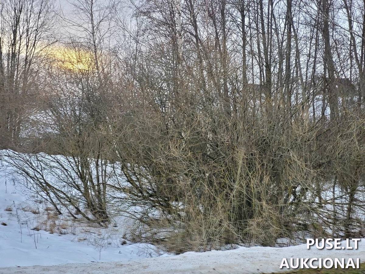 Žemės sklypas Sklypai Kaliakiemių g., Kaliakiemiai, Gelvonų sen., Širvintų r. sav. 1