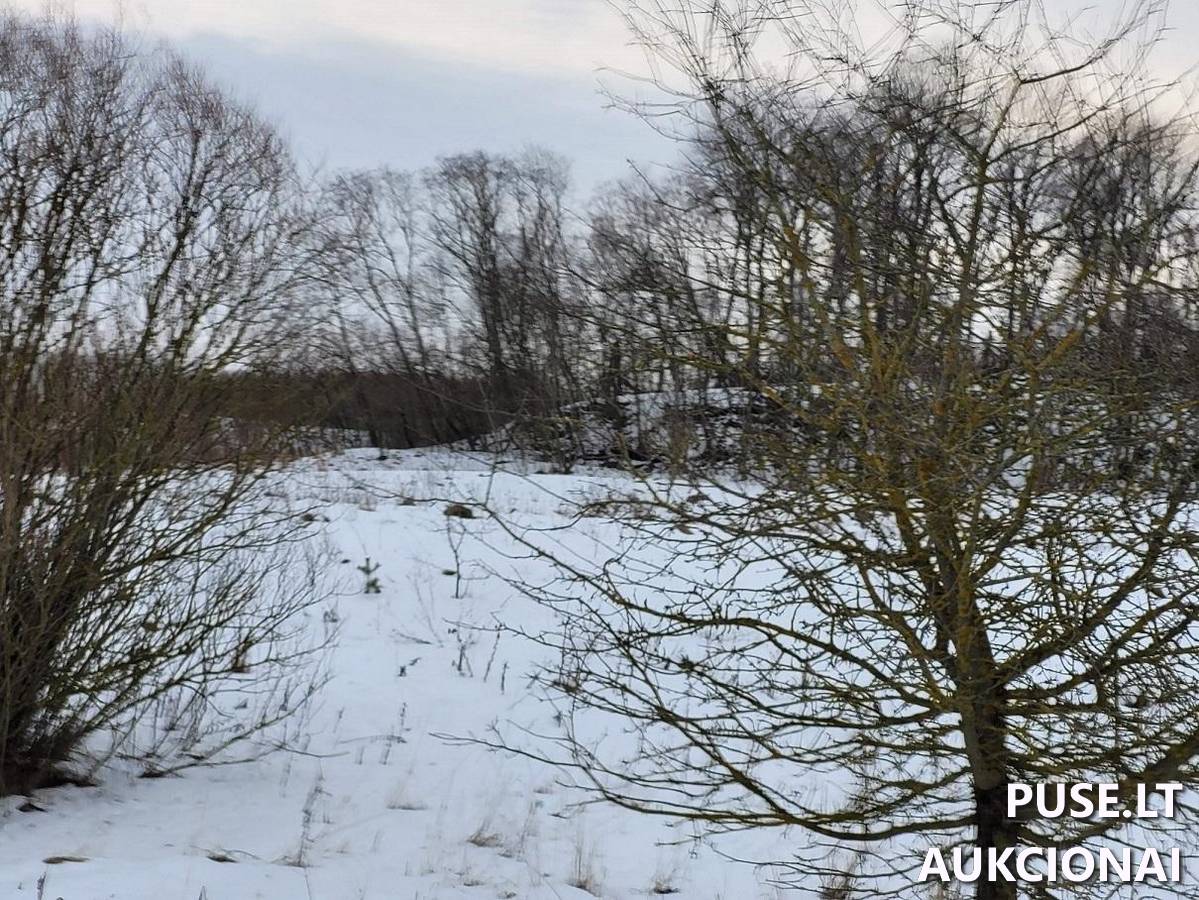 Žemės sklypas Sklypai Kaliakiemių g., Kaliakiemiai, Gelvonų sen., Širvintų r. sav. 2