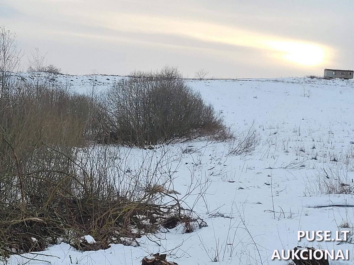 Žemės sklypas Sklypai Kaliakiemių g., Kaliakiemiai, Gelvonų sen., Širvintų r. sav. 3