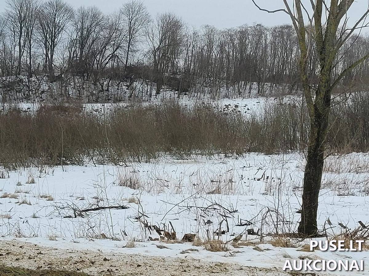 Žemės sklypas Sklypai Kaliakiemių g., Kaliakiemiai, Gelvonų sen., Širvintų r. sav. 5
