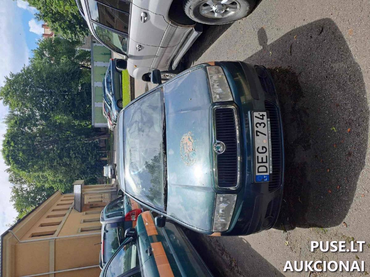 Skoda Fabia DEG734  2007 m. Lengvasis automobilis 1