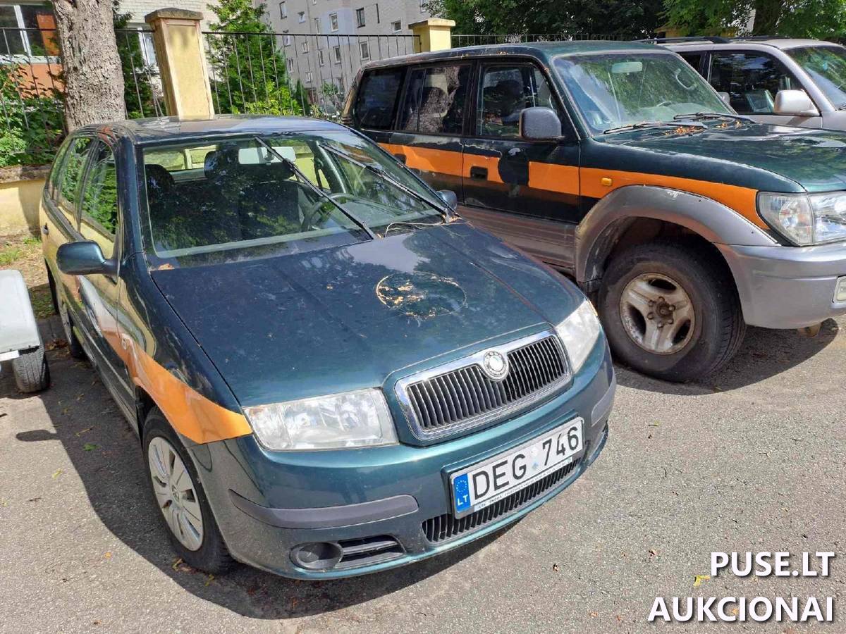 Skoda Fabia DEG746  2007 m. Lengvasis automobilis 1