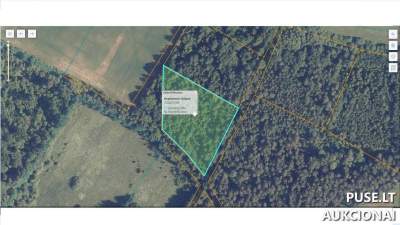 Žemės sklypas Raseinių rajone, Justinavos kaimo vietovėje 0.75 ha miškų ūkio paskirties, 1/9 dalis, pradinė kaina 328 EUR