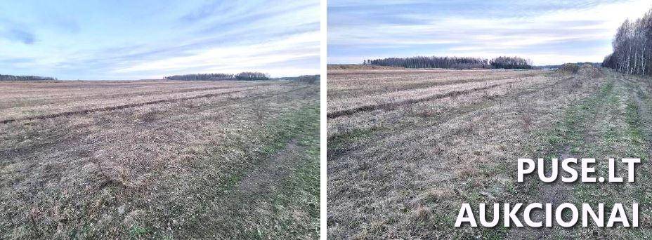 Žemės sklypas Sklypai Juodikių g., Juodikiai, Agluonėnų sen., Klaipėdos r. sav. 1