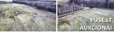 Žemės ūkio paskirties sklypas Klaipėdos rajone, Kantvainų kaime už 23200 EUR