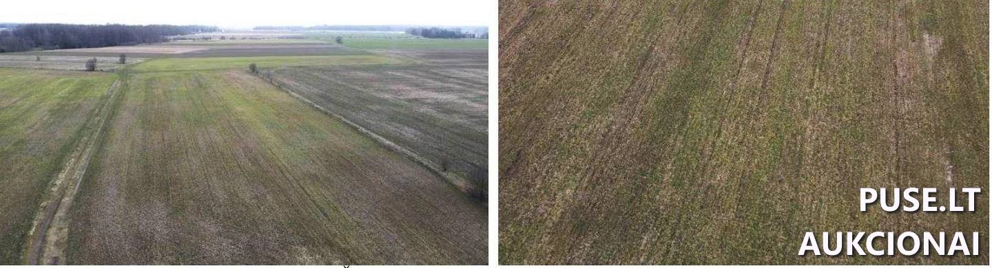 Žemės sklypas Sklypai Kantvainų g., Kantvainai, Agluonėnų sen., Klaipėdos r. sav. 1