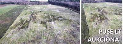 Žemės ūkio paskirties sklypas Klaipėdos rajone, Kantvainų kaime, pradinė kaina 21200 EUR