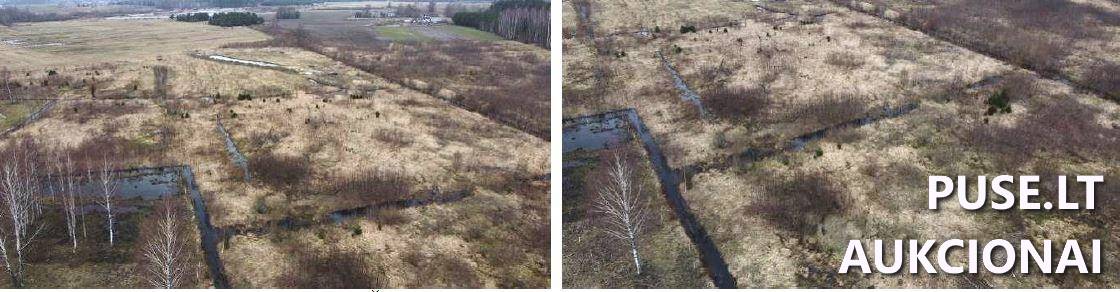 Žemės sklypas Sklypai Vanagai, Agluonėnų sen., Klaipėdos r. sav. 3