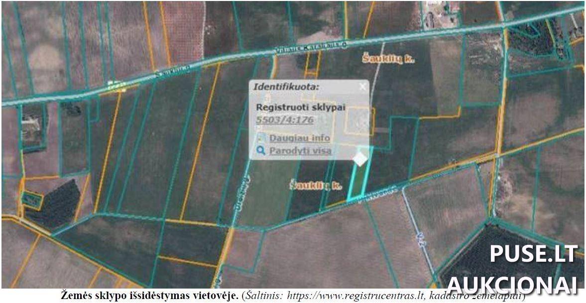 Žemės sklypas Sklypai Šaukliai, Agluonėnų sen., Klaipėdos r. sav. 2