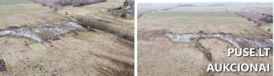 Žemės ūkio sklypas Klaipėdos rajone, Šauklių kaime, 4320 EUR pradinė kaina, antstolių varžytynės