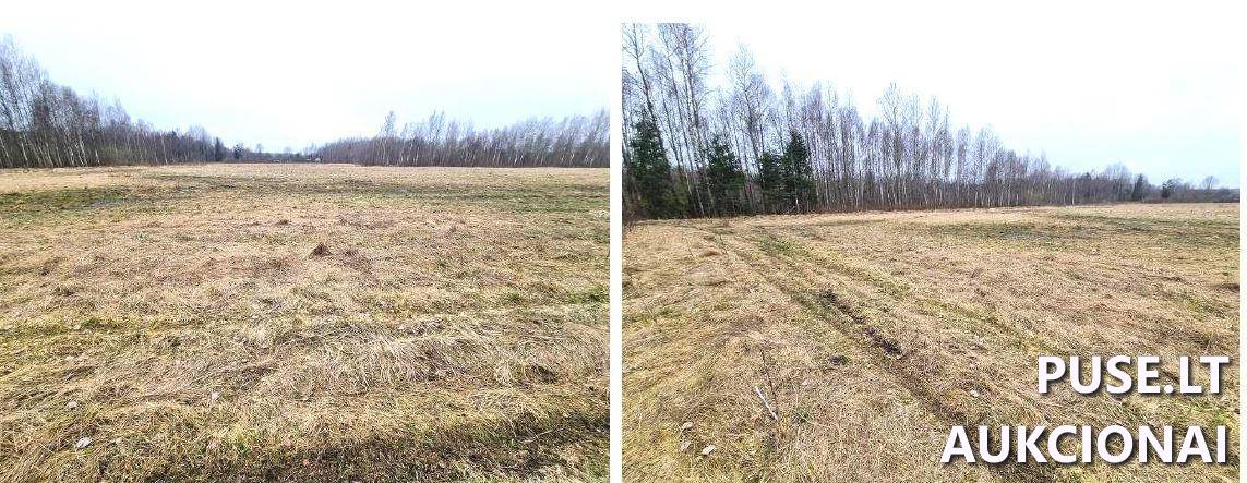 Žemės sklypas Sklypai Ruigių g., Ruigiai, Vėžaičių sen., Klaipėdos r. sav. 1