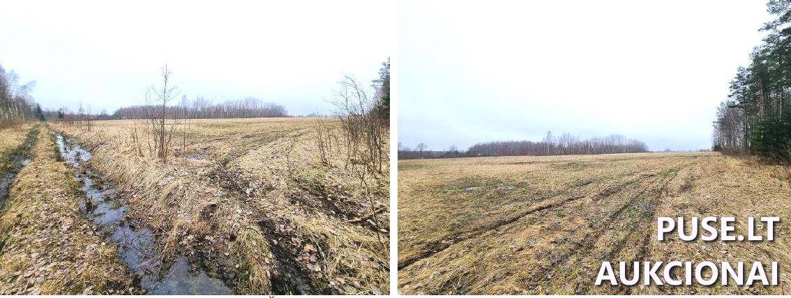 Žemės sklypas Sklypai Ruigių g., Ruigiai, Vėžaičių sen., Klaipėdos r. sav. 2