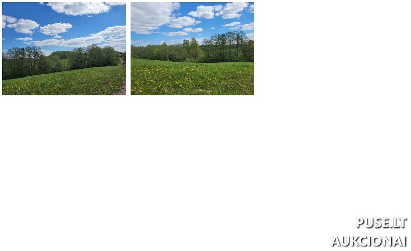 Žemės sklypas Sklypai Vakarės g. 4, 28300 Gaidžiai, Tauragnų sen., Utenos r. sav. 6