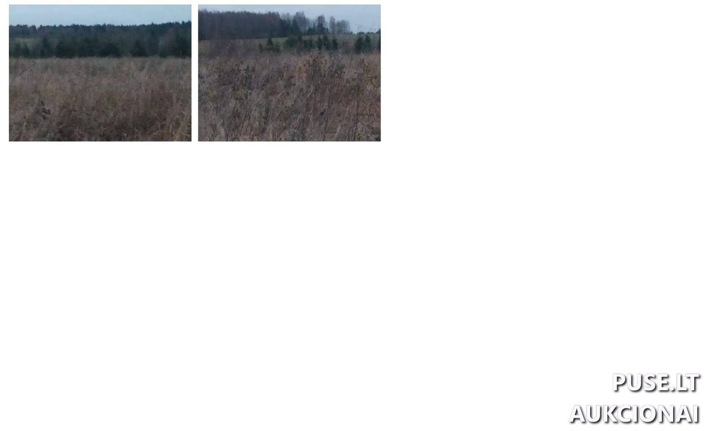 Žemės sklypas Sklypai Vidutinė, Strūnaičio sen., Švenčionių r. sav. 4