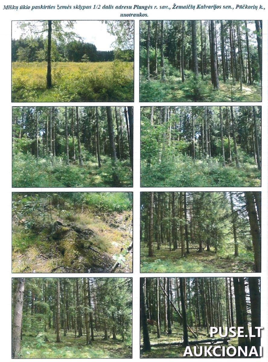 Turtinės teisės į 1/2 dalį žemės sklypo (pagrindas: 2004-04-09 Paveldėjimo teisės pagal įstatymą liudijimas, not. reg. Nr. AR-2360, po skol. tėvo Kazimiero Plataunos mirties paveldimas turtas). Sklypai 1