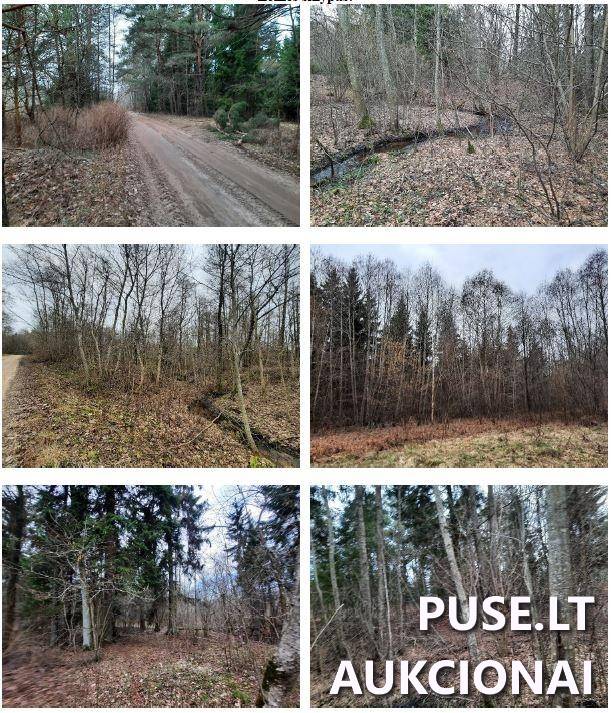 Žemės sklypas Sklypai Šakių g., Lekėčiai, Lekėčių sen., Šakių r. sav. 2