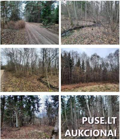 Žemės sklypo 1/6 dalis Šakių r. sav., Lekėčių k., miško paskirtis, 4440 EUR