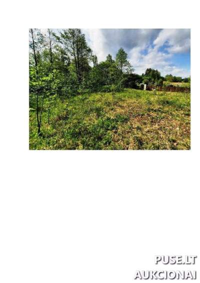 Žemės sklypas Alytaus rajone Gečialaukio k. Pievų g. 3 parduodamas aukcione 2160 EUR