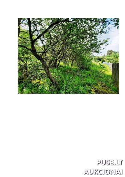 Parduodamas 0.0655 ha žemės ūkio sklypas Alytaus rajone, Gečialaukio k., pradinė kaina 2240 EUR