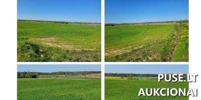 Žemės sklypas Ukmergės r. sav., Meižėnų k., pradinė kaina 7440 EUR, antstolių varžytynės