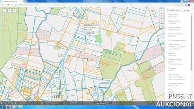 Miškų ūkio paskirties žemės sklypo 1/2 dalis Panevėžio r. sav., Putiliškių k. aukcionas nuo 7960 EUR