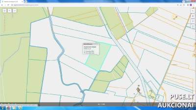 Parduodama 1/2 dalis 8.00 ha žemės ūkio paskirties sklypo Panevėžio r. sav., Putiliškių k. už 19800 EUR