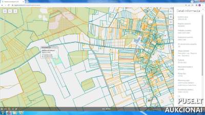Žemės ūkio paskirties sklypas Panevėžio rajone, Taurinės kaimo vietovėje, 7500 EUR pradinė kaina