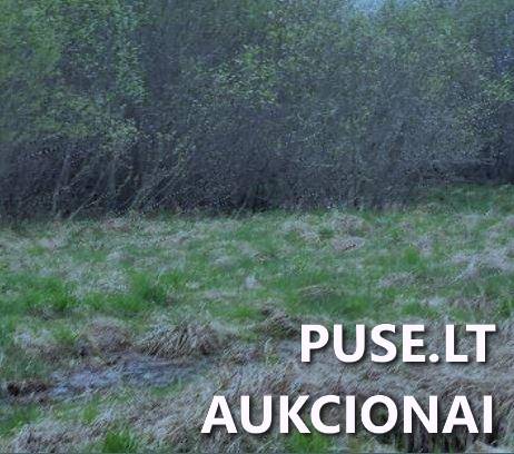 Žemės sklypas Sklypai Pučiakalnė, Nemunėlio Radviliškio sen., Biržų r. sav. 1