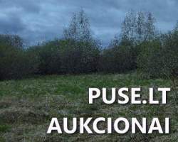 Sklypai - Žemės sklypas