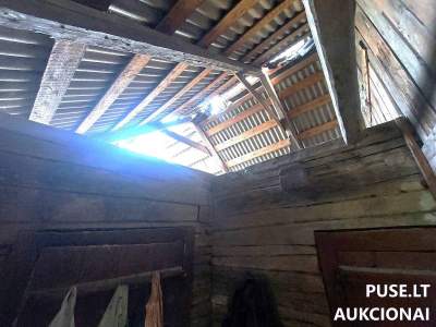 1/2 dalis gyvenamojo namo Panevėžio r. Naujamiesčio mstl. Dariaus ir Girėno g. 2 su ūkiniais pastatais, pradinė kaina 103 EUR