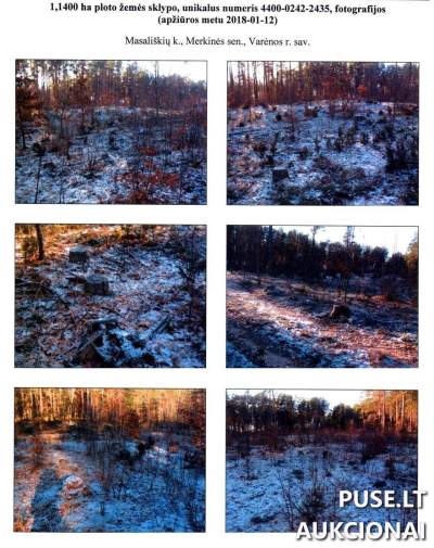 Miškų ūkio žemės sklypas Varėnos r. Masališkių k. 1.14 ha, pradinė kaina 2000 EUR