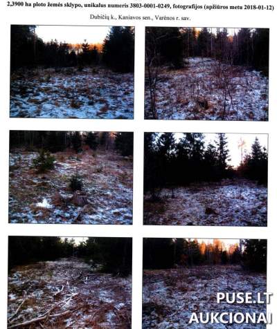 Žemės sklypas Varėnos r. Dubičių k. 2.39 ha miškui parduodamas aukcione 3600 EUR