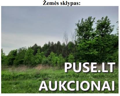 Žemės sklypas Sklypai Slabada, Kazlų Rūdos sen., Kazlų Rūdos sav. 3