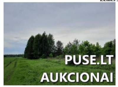 1/2 žemės ūkio paskirties sklypo dalis Kazlų Rūdos sav. Slabados k. Pradinė kaina 4000 EUR