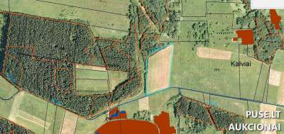 Žemės ūkio sklypas Vilniaus rajone, Kalvių kaimelyje, pradinė kaina 4800 EUR - Pirmosios pakartotinės varžytynės