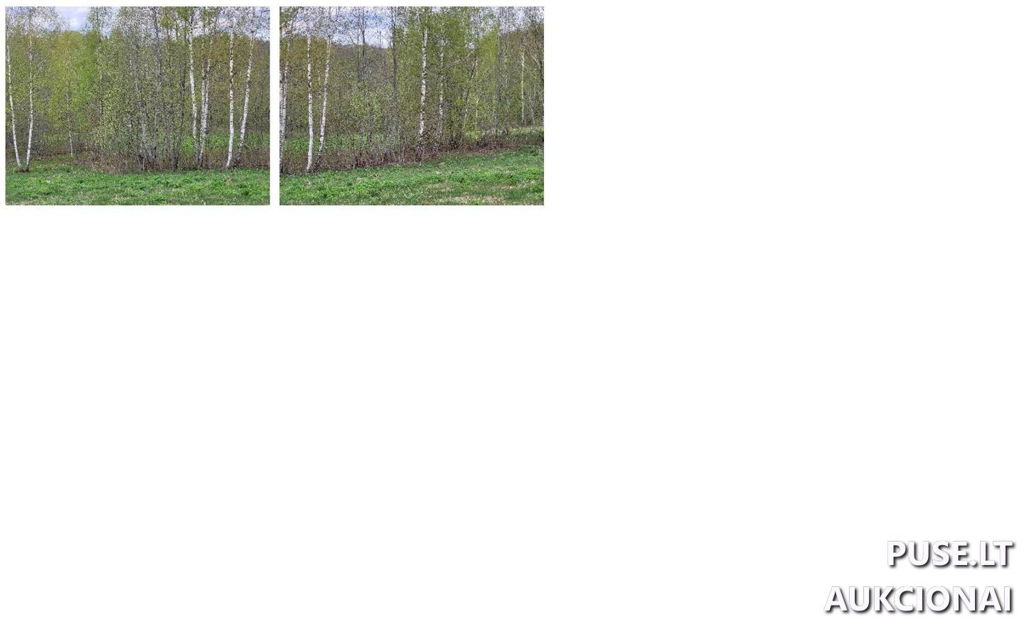 Žemės sklypas Sklypai Kliukai, Dubingių sen., Molėtų r. sav. 2