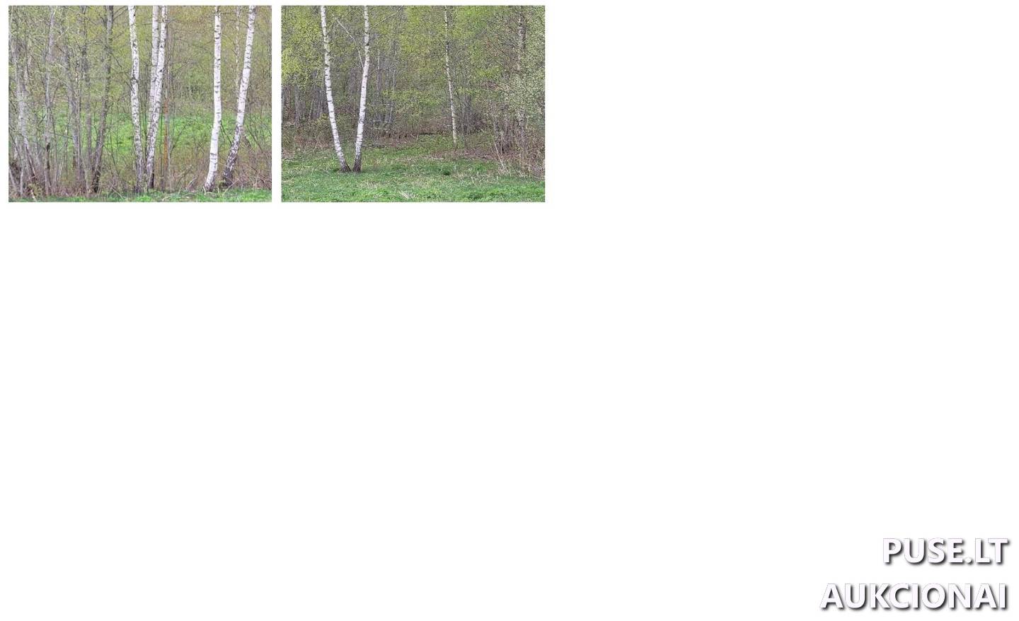 Žemės sklypas Sklypai Kliukai, Dubingių sen., Molėtų r. sav. 4