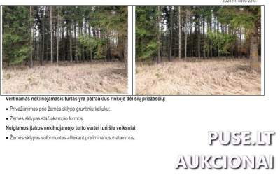 Žemės sklypas Raseinių rajone 3.28 ha miškų ūkio paskirties 24180 EUR