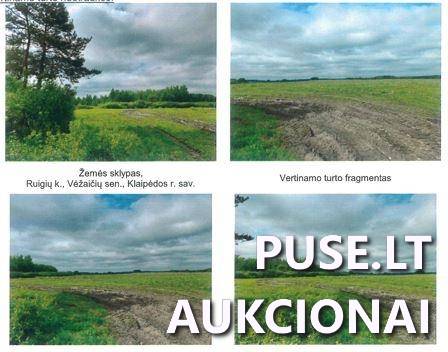 Žemės sklypas Sklypai Ruigių g., Ruigiai, Vėžaičių sen., Klaipėdos r. sav. 1