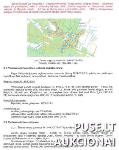 Žemės ūkio paskirties sklypas Klaipėdos rajone, Ruigių kaime, pradinė kaina 24800 EUR