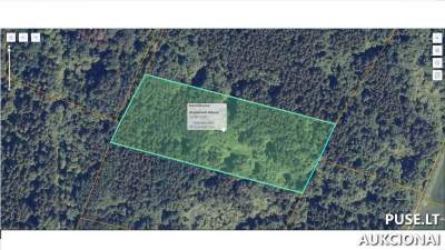 1/5 dalis miškų ūkio paskirties žemės sklypo Raseinių r. Smukėnų k. su 1.9 ha plotu. Pradinė kaina 1221 EUR