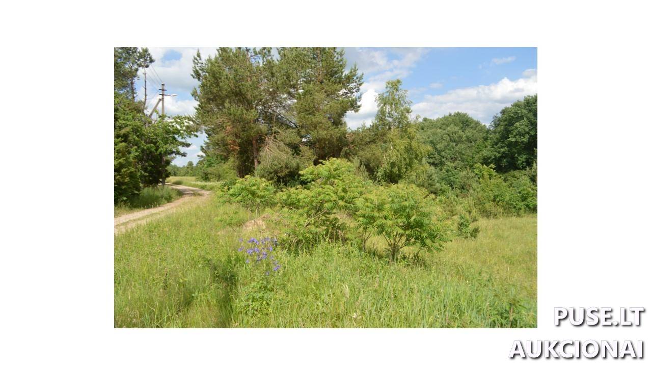 Žemės sklypas Sklypai Plungės g., Plateliai, Platelių sen., Plungės r. sav. 1