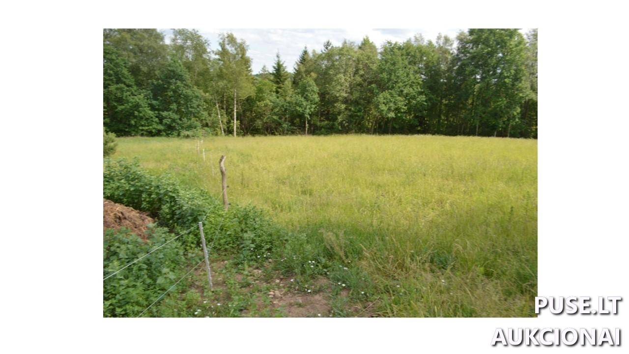 Žemės sklypas Sklypai Plungės g., Plateliai, Platelių sen., Plungės r. sav. 3
