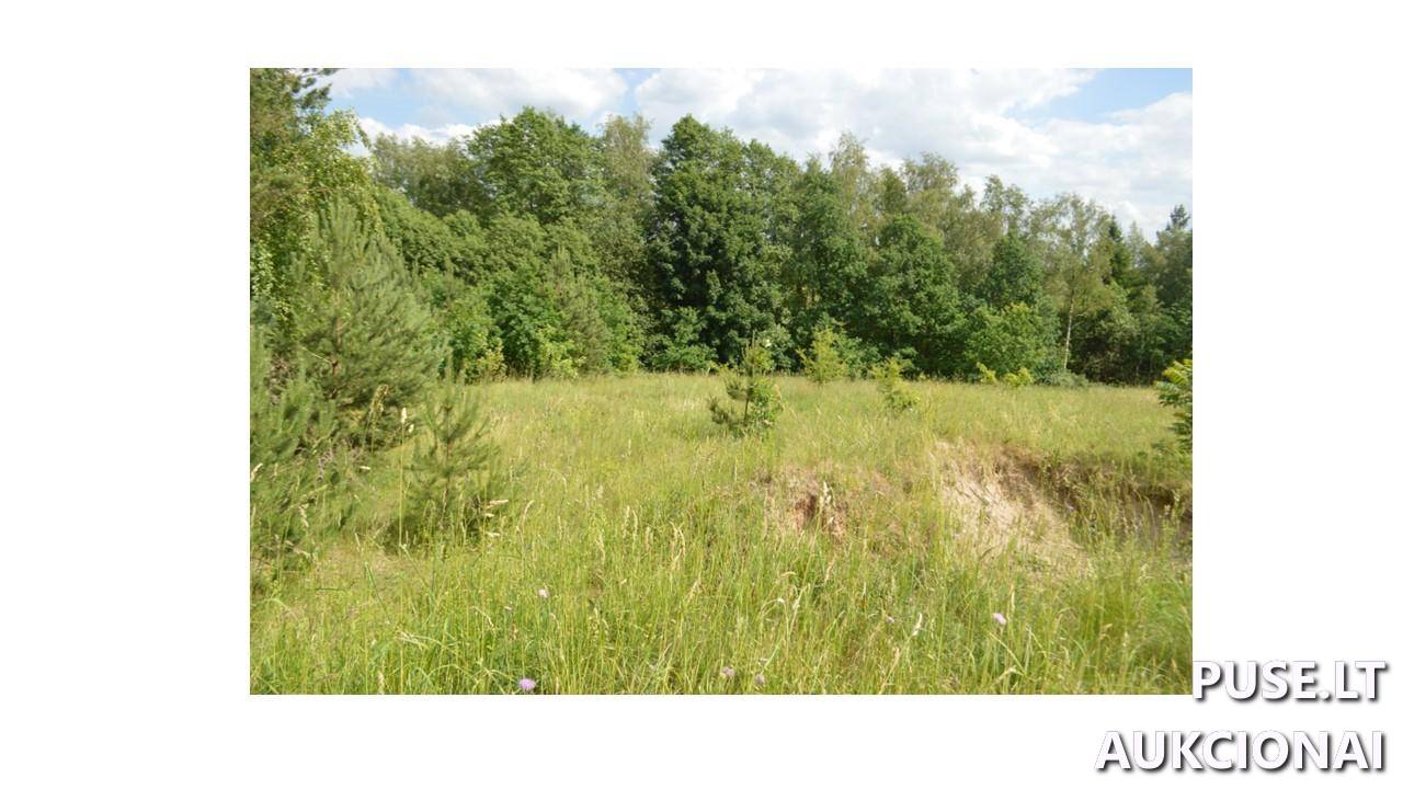 Žemės sklypas Sklypai Plungės g., Plateliai, Platelių sen., Plungės r. sav. 5