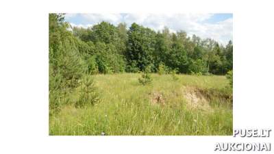 Žemės sklypas Plungės rajone, Platelių kaime, pradinė kaina 600 EUR - Antstolių varžytynės