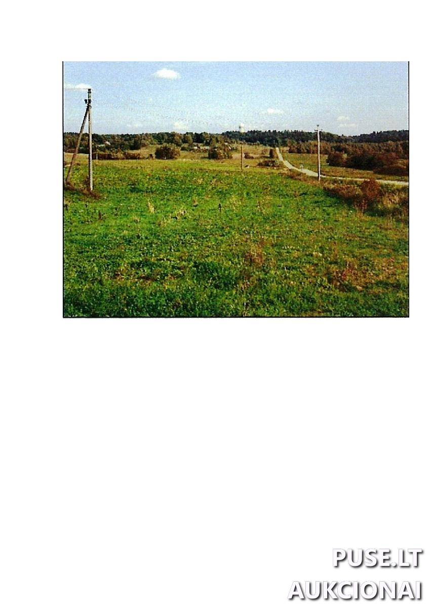 Žemės sklypas Sklypai Intuponys, Stakliškių sen., Prienų r. sav. 2