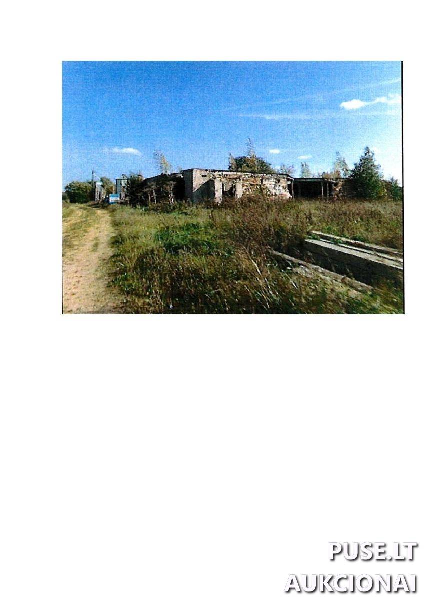 Žemės sklypas Sklypai Lauko g. 22, 59366 Intuponys, Stakliškių sen., Prienų r. sav. 4